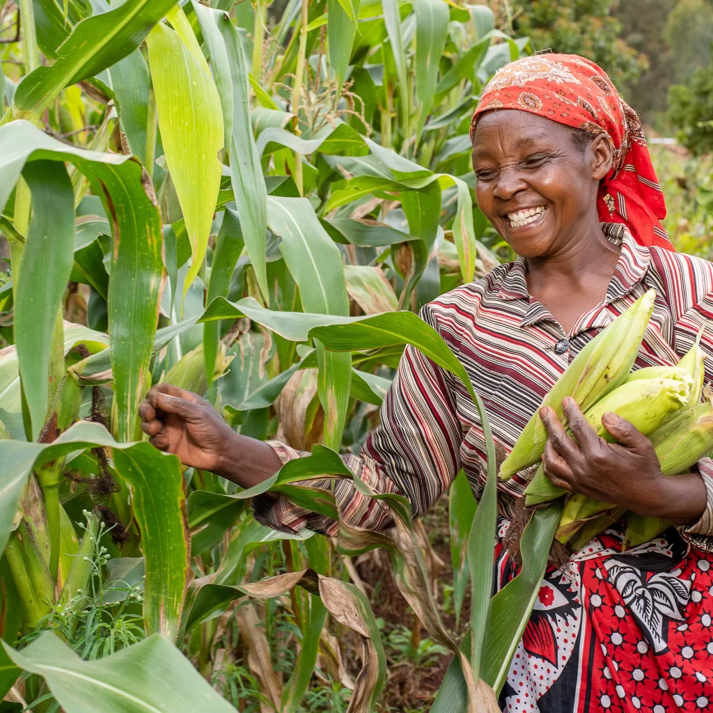 Agricultural Course in Kenya